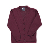 Boys Uniforms: Sweaters