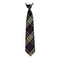 Boys Uniforms: Ties