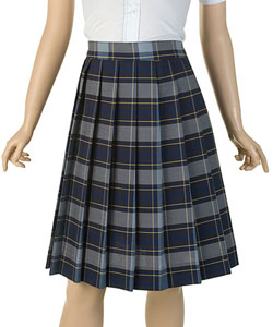 Girls' Plus Size Pleated Skirt in plaid #57 and plaid #91