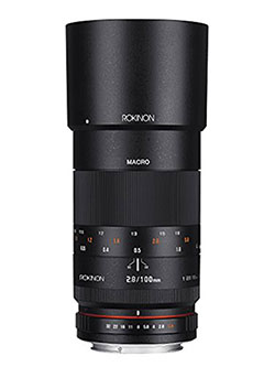 Rokinon FE8M-NEX 8mm f/3.5 Fisheye Lens for Sony E-Mount Cameras 