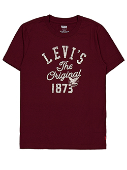 Levi's Boys' The Original 1873 Graphic T-Shirt