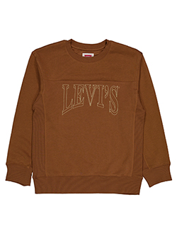 Levi's Boys' Vintage Crewneck Sweatshirt