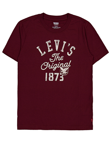 Levi's Boys' The Original 1873 Graphic T-Shirt - CookiesKids.com