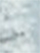 (Root)