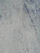 (Root)