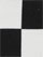 (Racer Print)