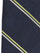 Navy/Gold