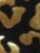 Wine/Black