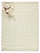 Ivory/Multi