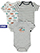 Gray/Multi