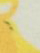 Yellow Multi