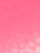(Fuchsia)