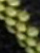 (Green/Gold *Plaid #83*)