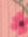 Dusty/Pink