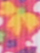 (Hot Pink Multi)