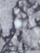 (Gray)