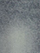 (Medium Wash)