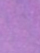 (Purple)