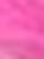 (Fuchsia/White)