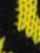 (Black/Yellow)