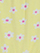(Yellow)