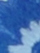 White Blue
