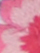 White/Pink