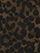 (Leopard)